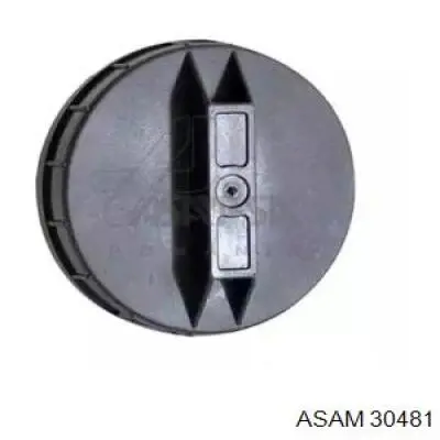 30481 Asam