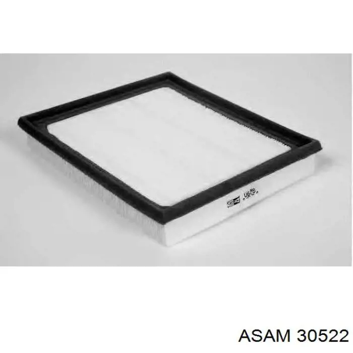 30522 Asam