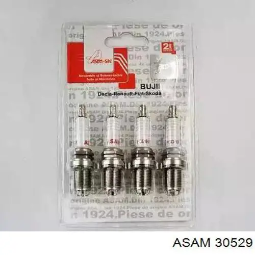 30529 Asam