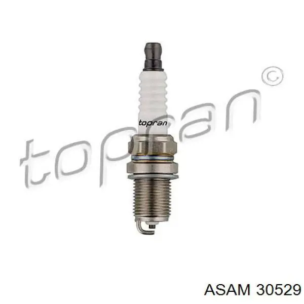 Свеча зажигания Asam 30529 цена, от 4.21 USD