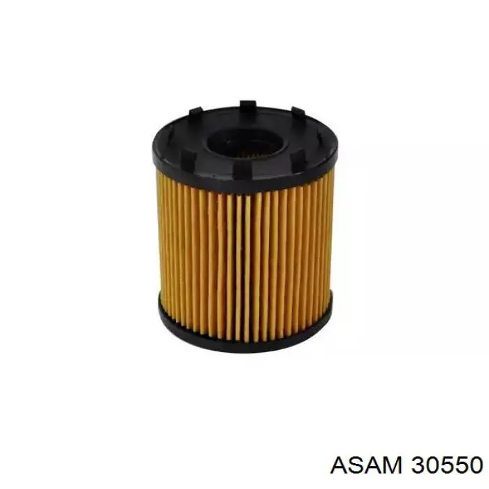 30550 Asam масляный фильтр