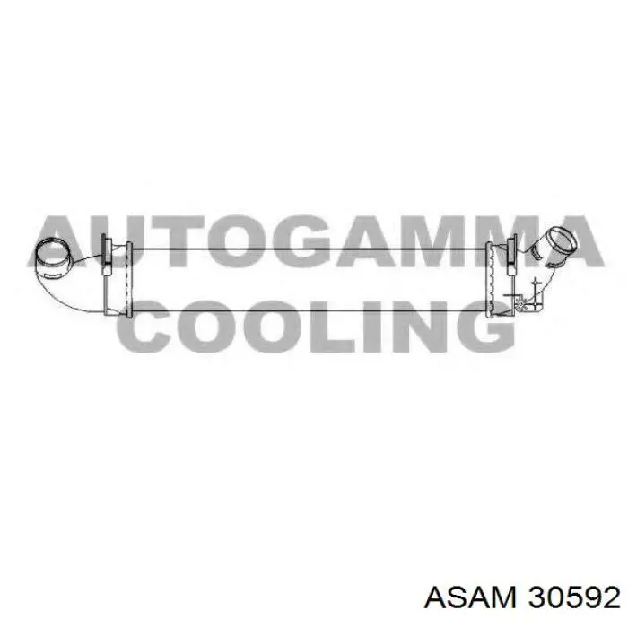 30592 Asam