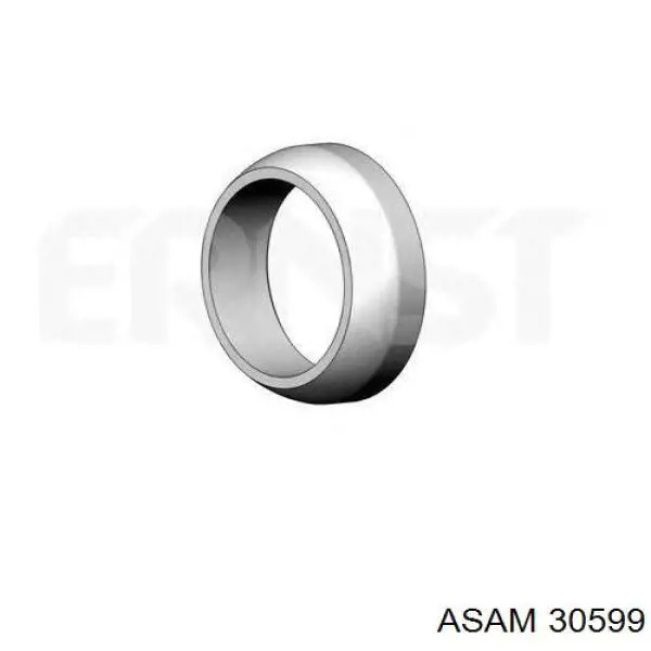 Кольцо приемной трубы глушителя уплотнительное Asam 30599 цена, от 2.85 USD