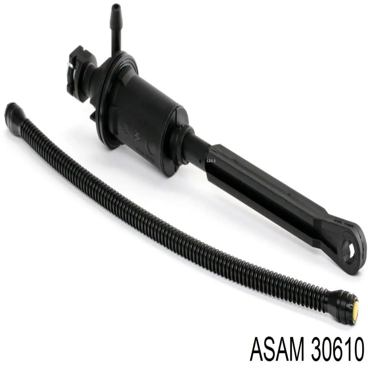 30610 Asam