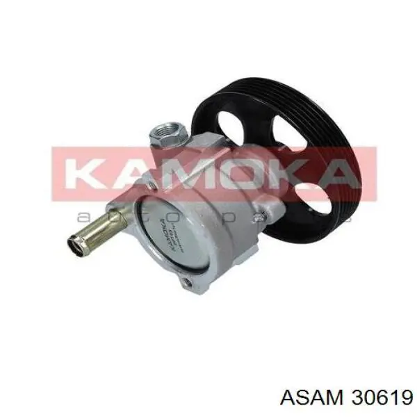 30619 Asam ГУР руля