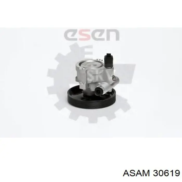 Насос гидравлики Asam 30619 цена, от 113.84 USD