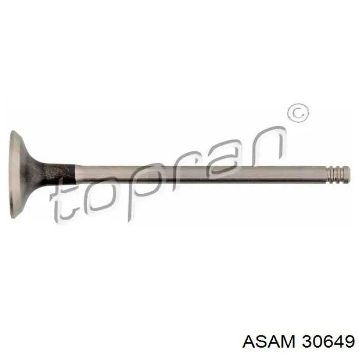 Выпускной клапан двигателя Asam 30649 цена, от 11.83 USD