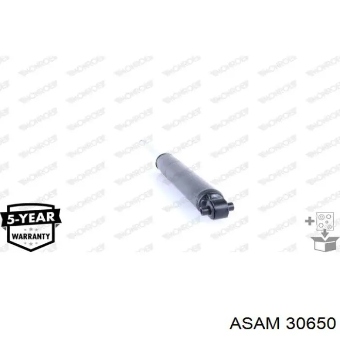 30650 Asam