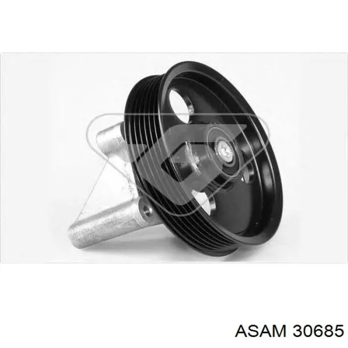 Купить 30685 Asam Паразитный ролик