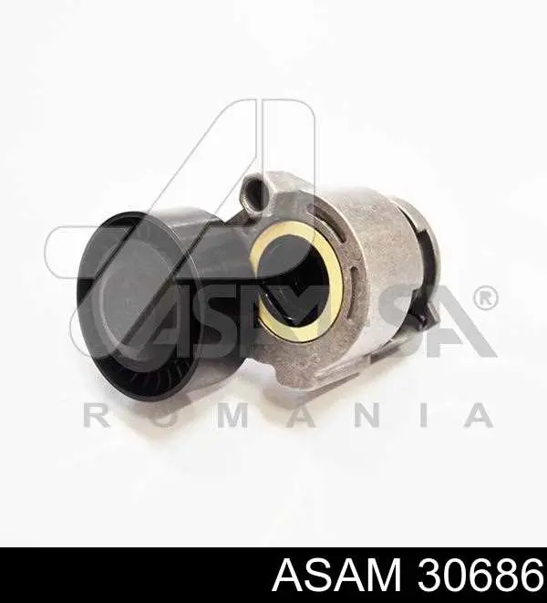 Ролик натяжителя приводного ремня на Dacia Duster HS