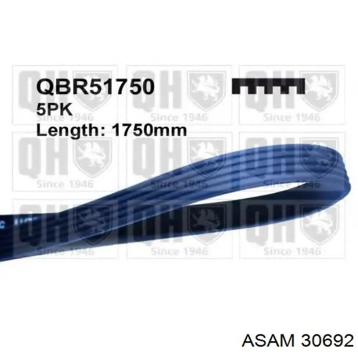 Compre 30692 Asam Correia dos conjuntos de transmissão