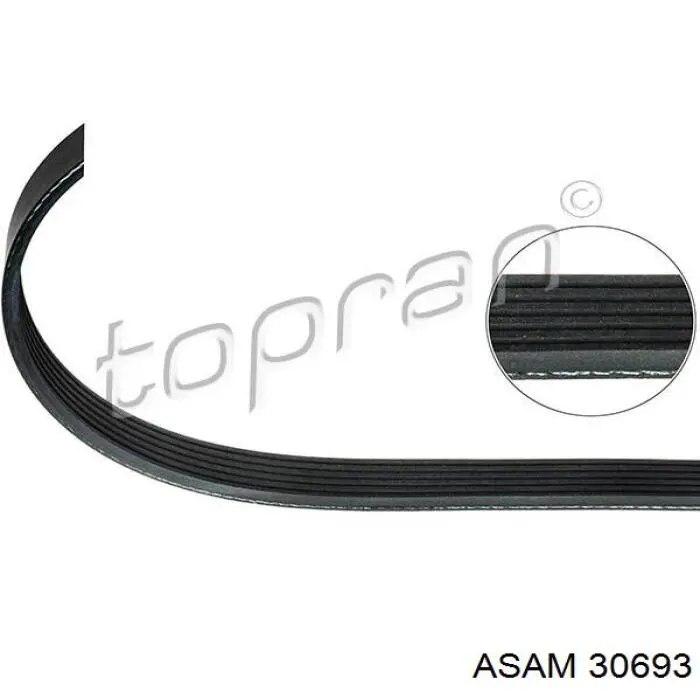 Correa trapezoidal 30693 Asam