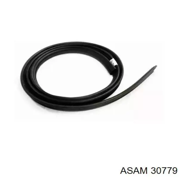 Прокладка двери передней Asam 30779 цена, от 27.82 USD