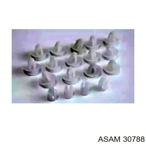  Asam 30788 цена, от 1.72 USD