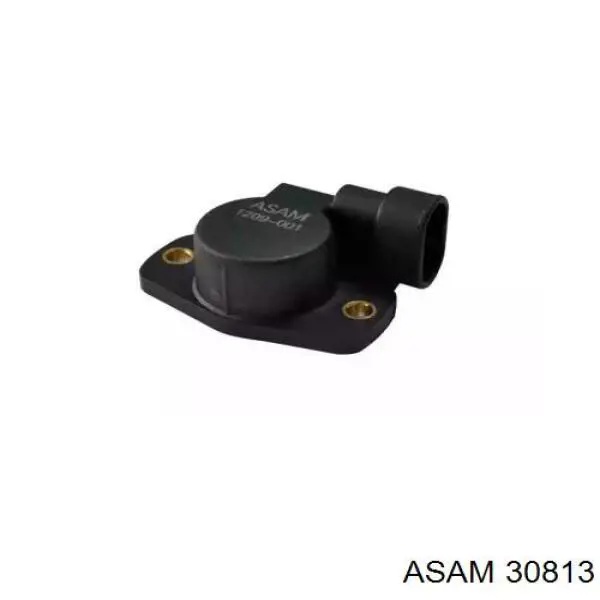 Купить 30813 Asam Потенциометр