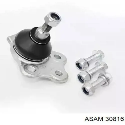 30816 Asam Палец шаровой нижний