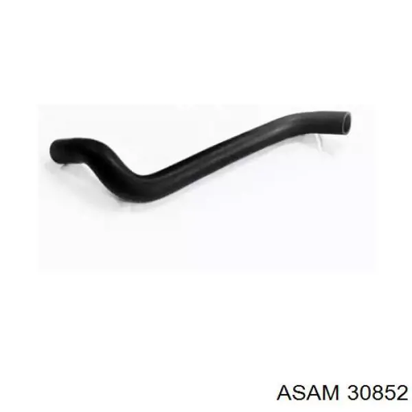 30852 Asam mangueira (cano derivado do radiador de esfriamento superior)
