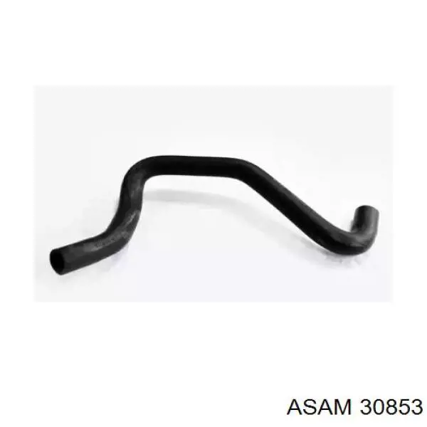 30853 Asam mangueira (cano derivado inferior do radiador de esfriamento)