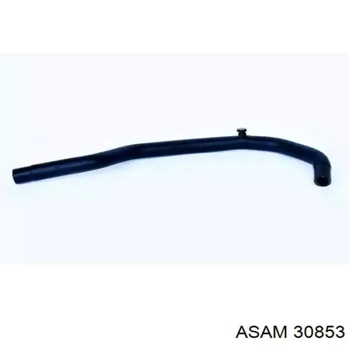 30853 Asam