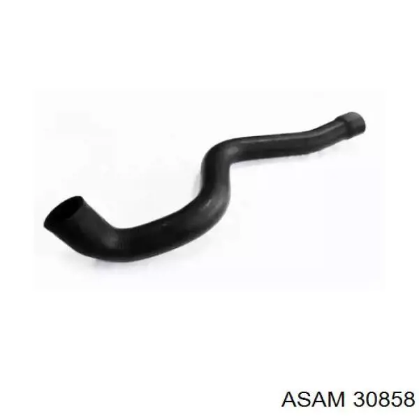 30858 Asam mangueira (cano derivado superior de intercooler)
