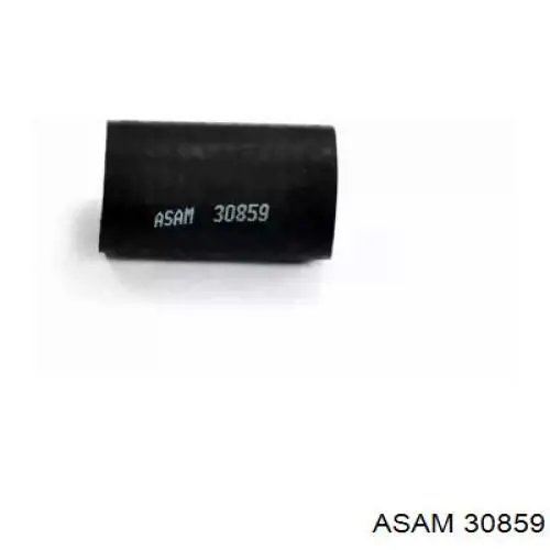 30859 Asam cano derivado de ar