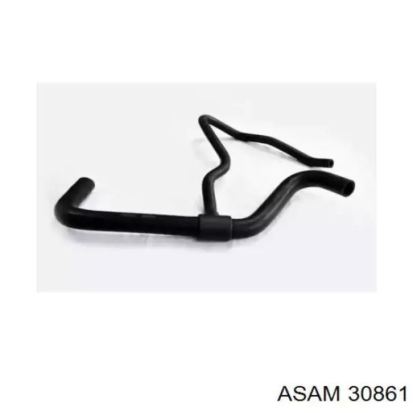 30861 Asam mangueira (cano derivado inferior do radiador de esfriamento)