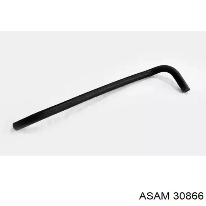 30866 Asam