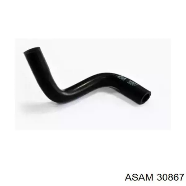 30867 Asam маслоотделитель (сепаратор системы вентиляции картера)