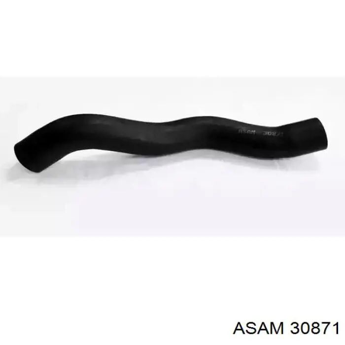 30871 Asam mangueira (cano derivado inferior esquerda de intercooler)