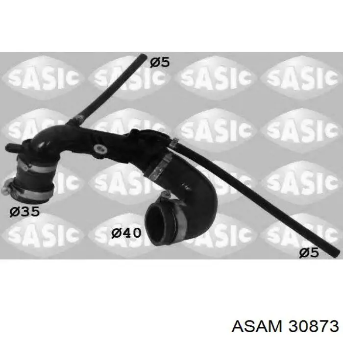 30873 Asam