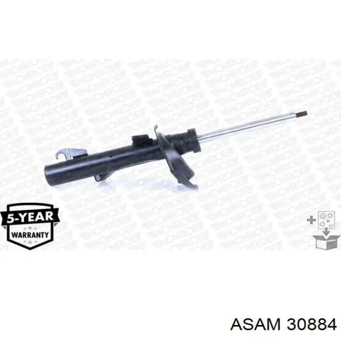 Купить 30884 Asam 