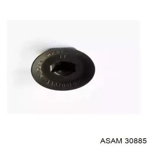 30885 Asam cápsula (prendedor de fixação do forro do pára-choque do pára-lama dianteiro)