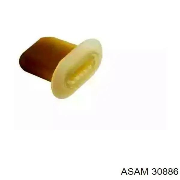 30886 Asam 