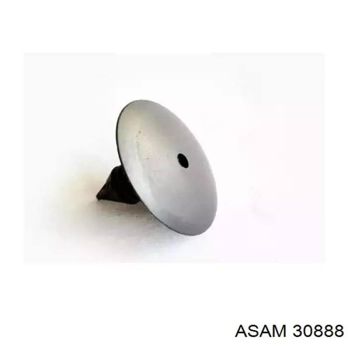  30888 Asam