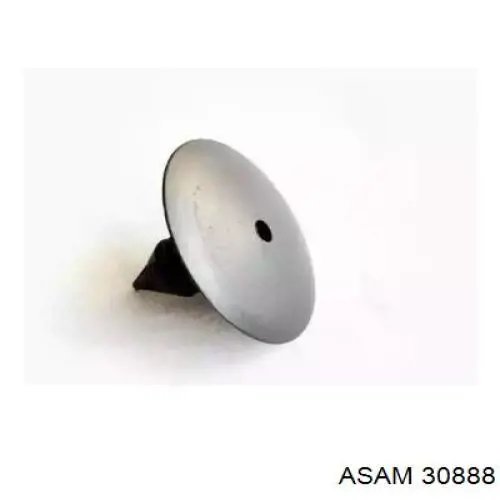  Asam 30888 цена, от 0.24 USD