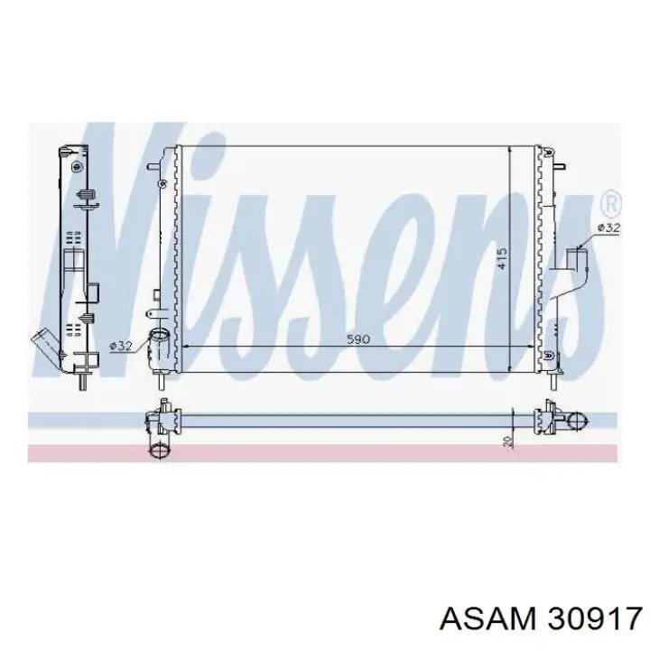30917 Asam
