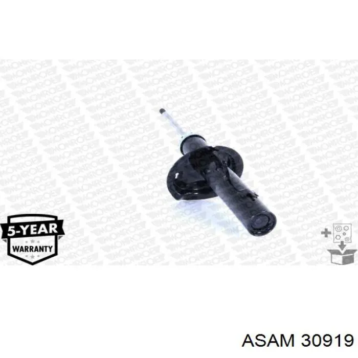 Купить 7703077444 Renault (RVI) Пистон крепления обшивки двери