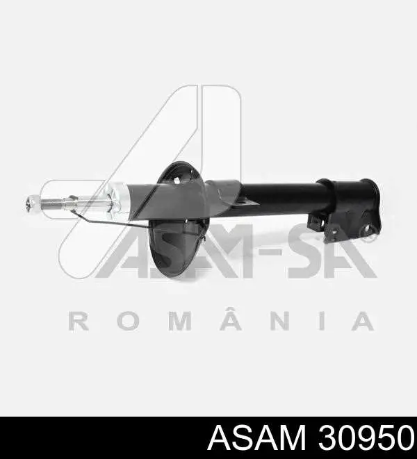 30950 Asam Амортизаторы задние