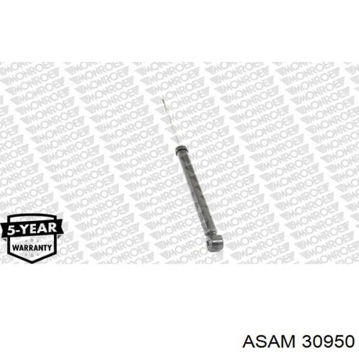 Купить 30950 Asam Амортизатор задней подвески