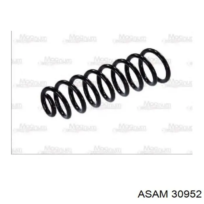 Задняя пружина 30952 Asam