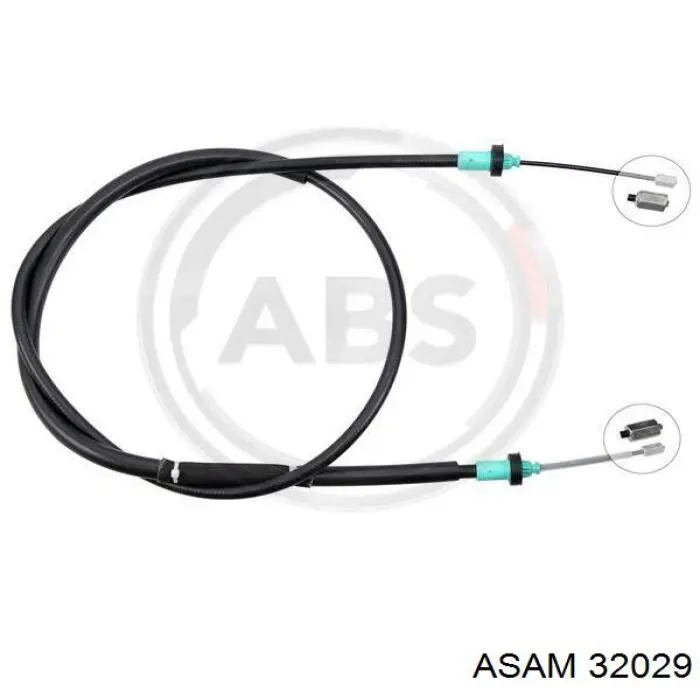 32029 Asam