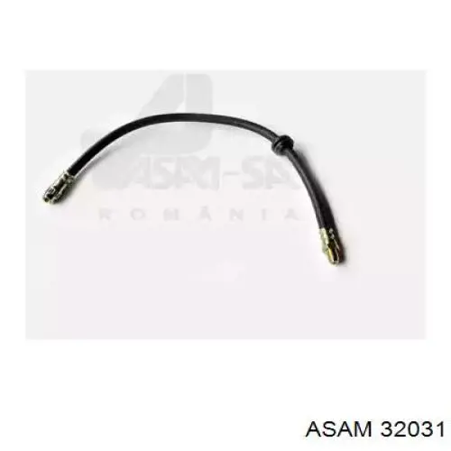 32031 Asam