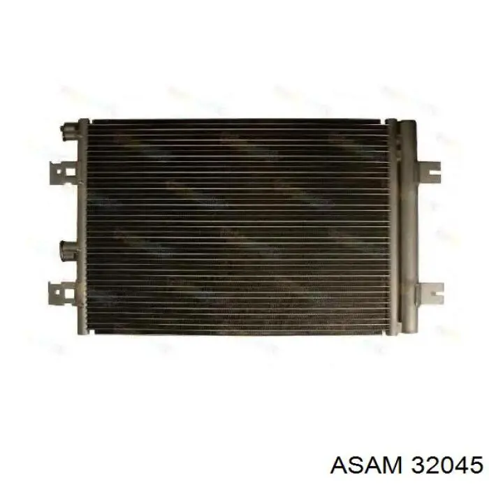 32045 Asam