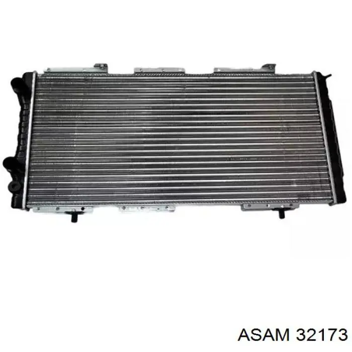 32173 Asam радиатор