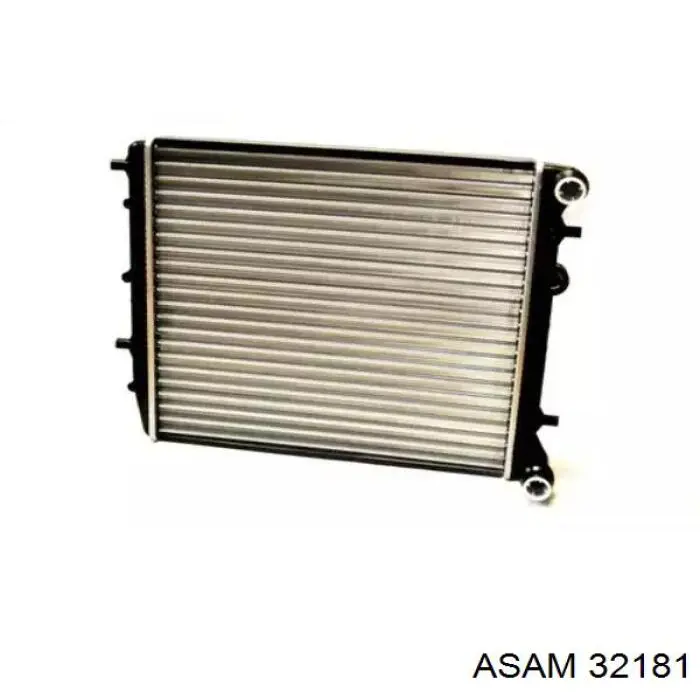 Радіатор охолодження двигуна 32181 Asam