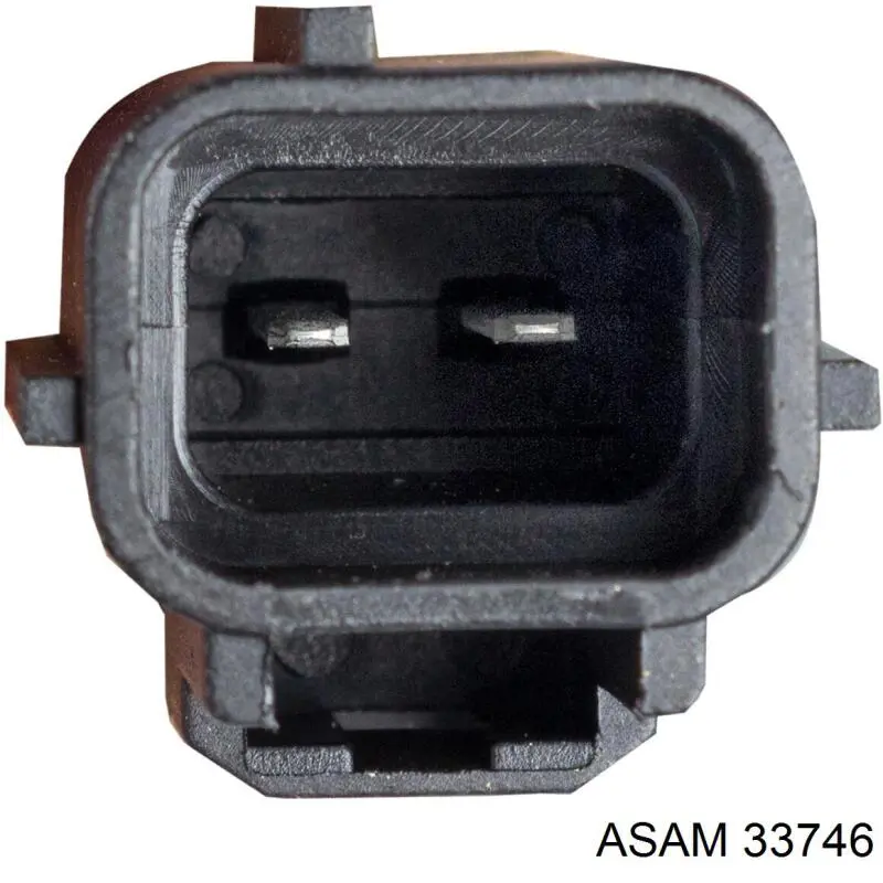 Купить 33746 Asam 