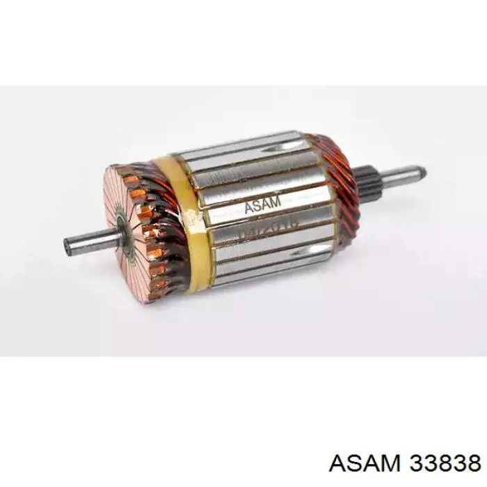 33838 Asam induzido (rotor do motor de arranco)