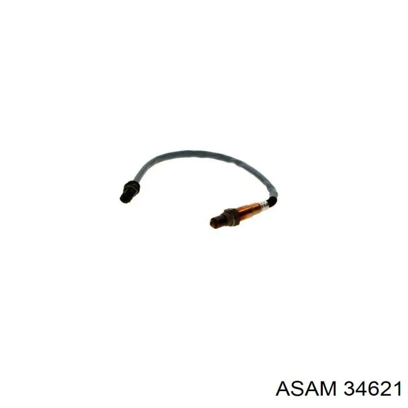 34621 Asam