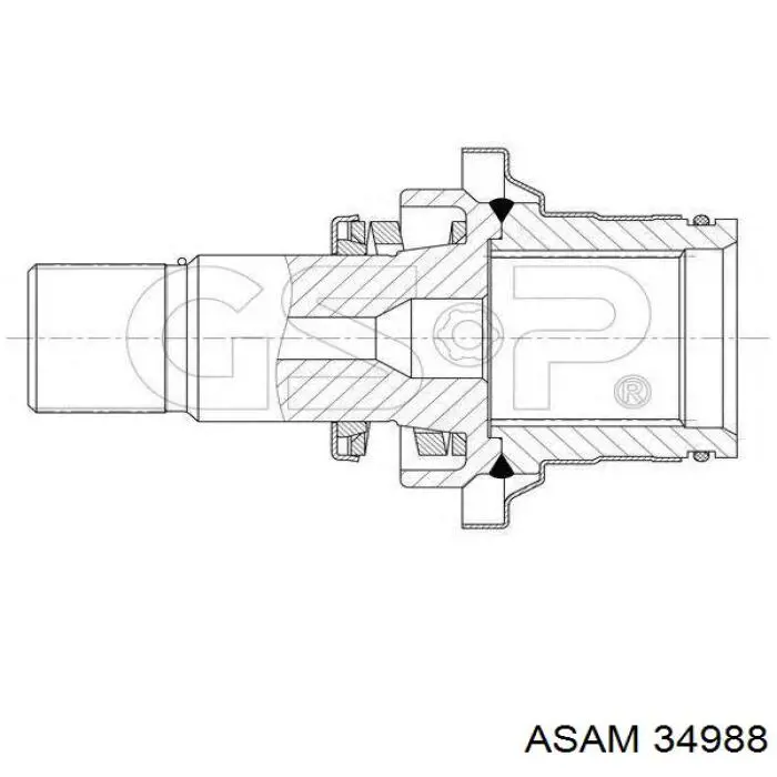  Asam 34988 цена, от 62.17 USD