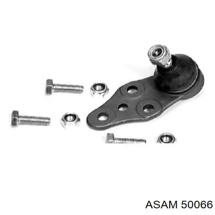 Купить 50066 Asam Нижняя шаровая опора